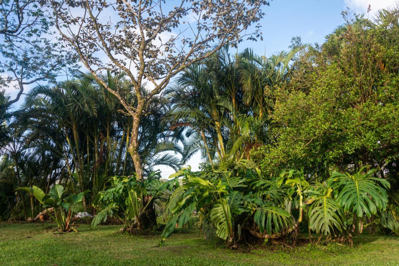 Vista Lago Arenal Piedras Exteriér fotografie