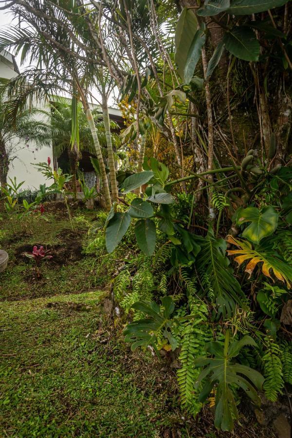 Vista Lago Arenal Piedras Exteriér fotografie